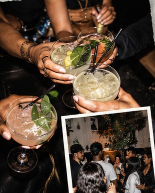 Friends raising their glasses together